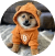 $DOG logo